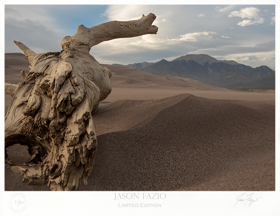Drifting Dunes (Copy)