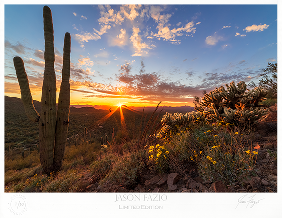 Saguaro-West (Copy)