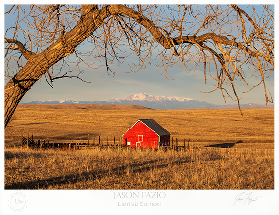 A Barn's Eye View (Copy)