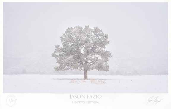 Snowblind (Copy)