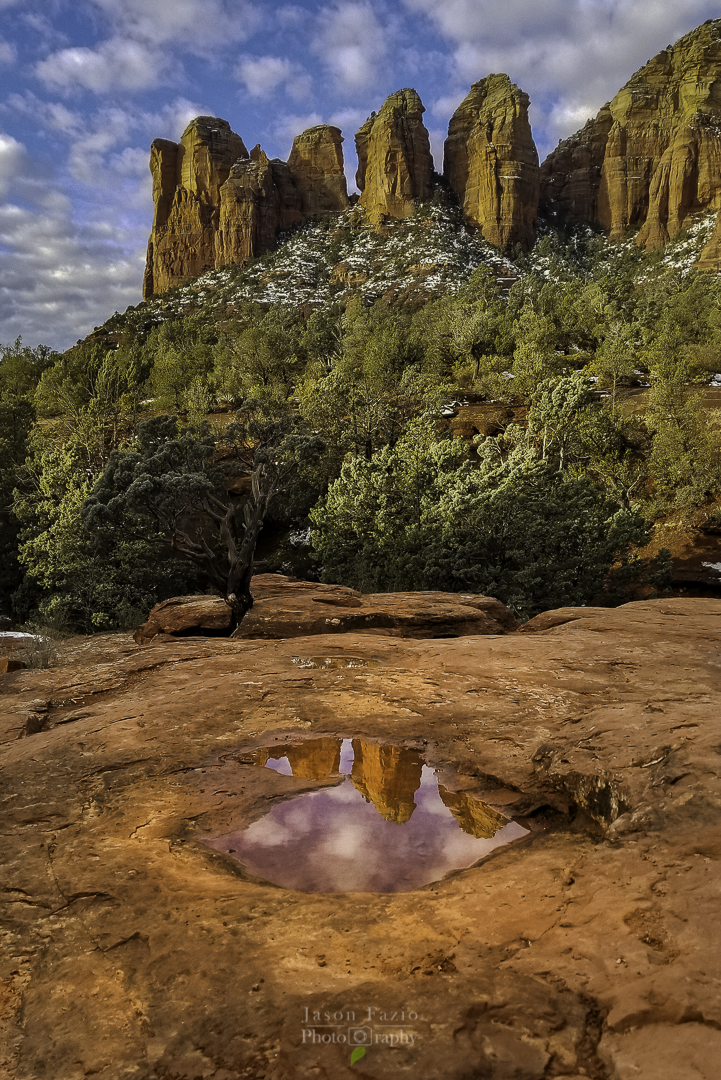 Reflections From Behind the Solo Tree of The Seven Sacred Pools