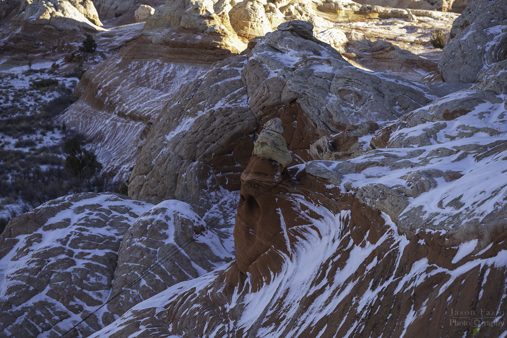 Natural Fence Post