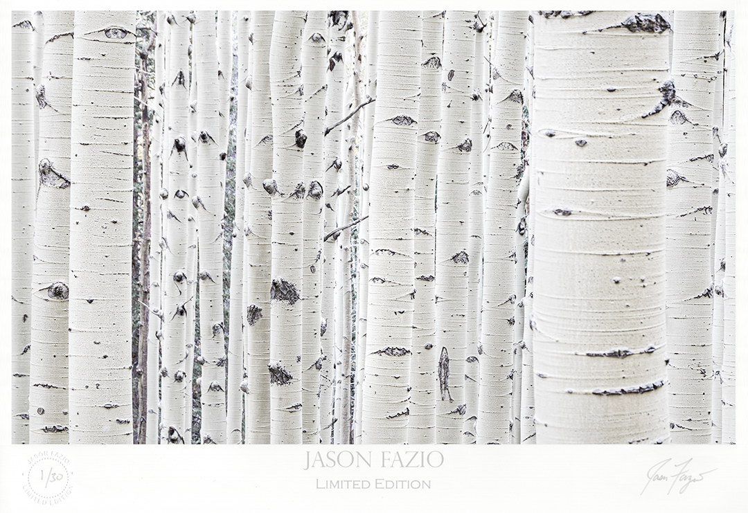 Whitewall (Copy)