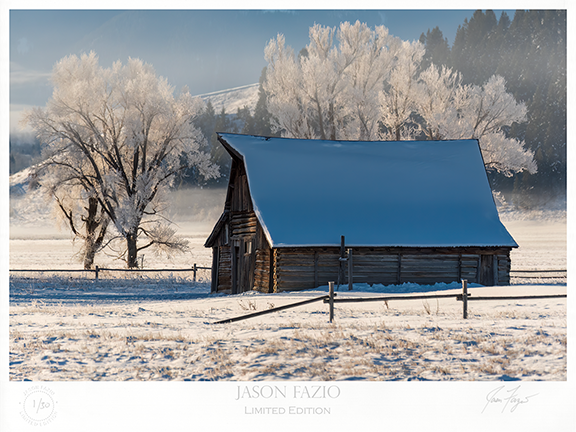Winter's Shade (Copy)