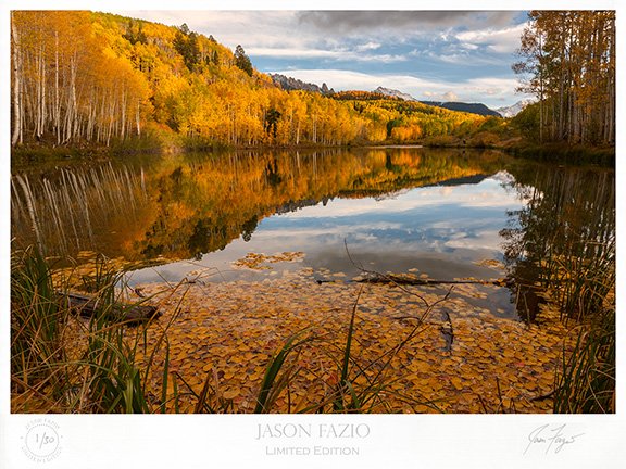 Reflections Surrounded