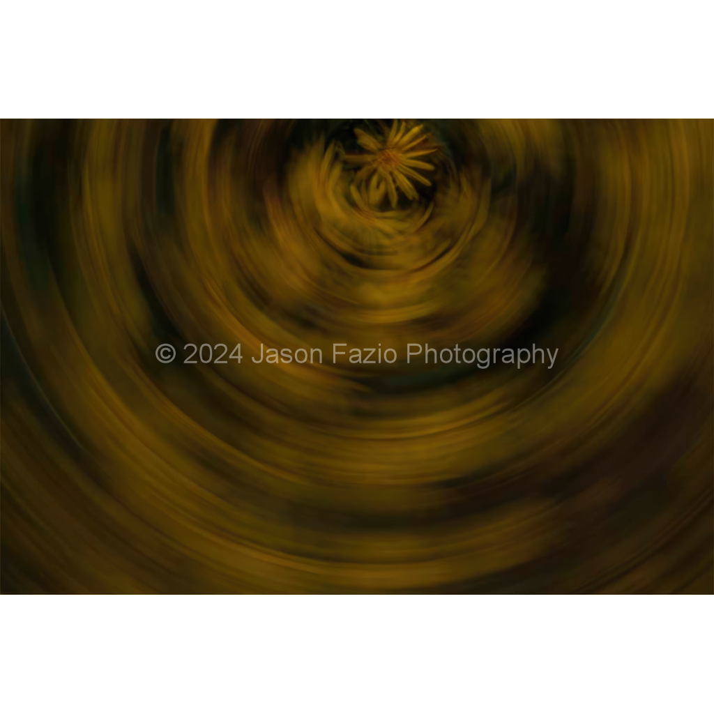 image_original_389dc244941ede2c834e01516f470ea2.png