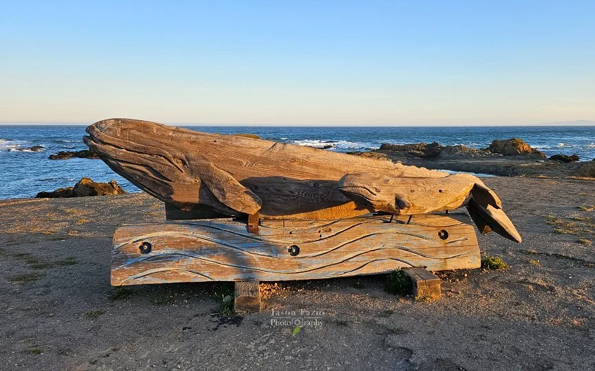 20240616_061412_865x540_U_100_Long Edge.jpg