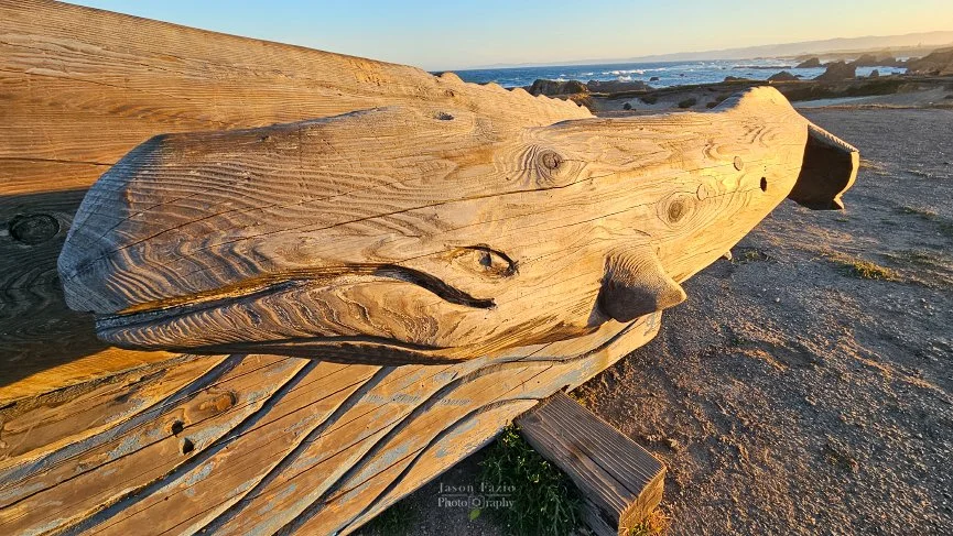 20240616_061509_865x487_U_100_Long Edge.jpg