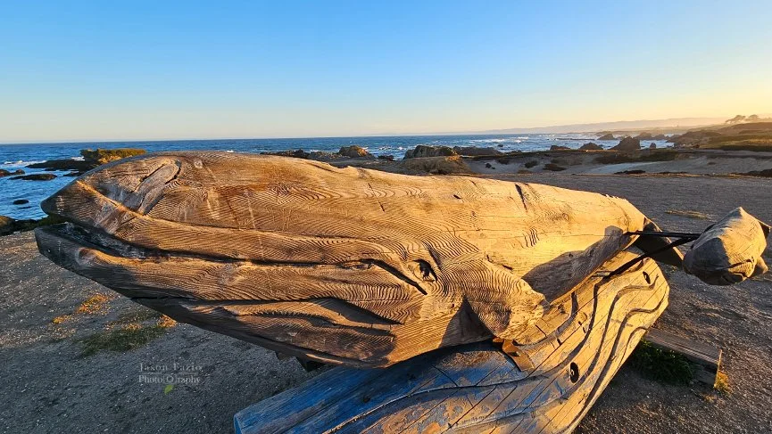 20240616_061521_865x487_U_100_Long Edge.jpg