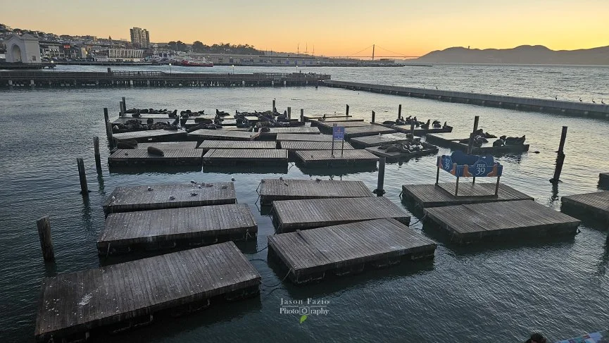 20240616_203308_865x487_U_100_Long Edge.jpg