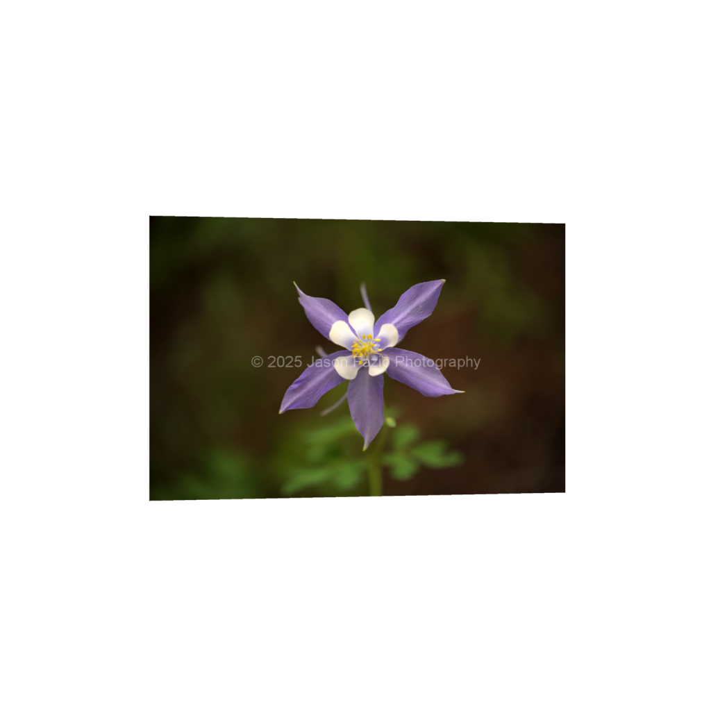 ptq_34_3_0_4_10230_6820_0_false_ffffff_0_0_f63d229ffefd4f59866965af16271839.png