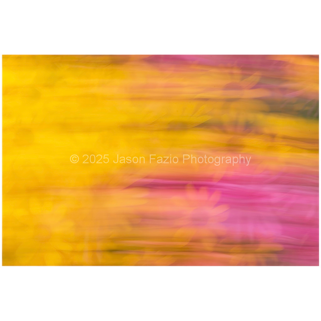 image_original_f63d229ffefd4f59866965af16271839.png