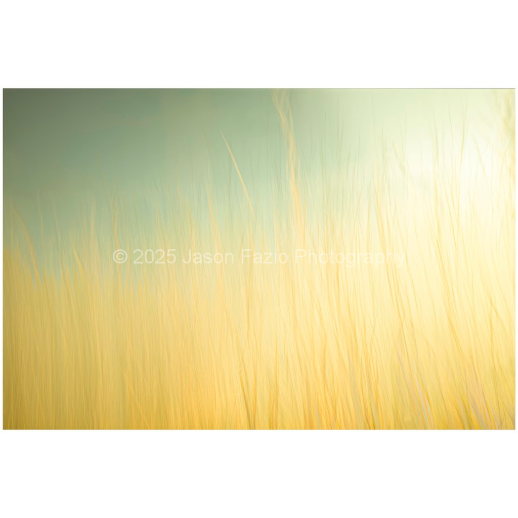 image_original_f63d229ffefd4f59866965af16271839.png