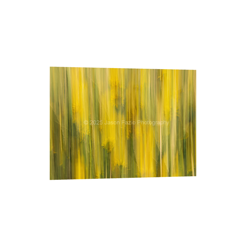 ptq_34_5_266_0_4266_3200_0_false_ffffff_0_0_f63d229ffefd4f59866965af16271839.png