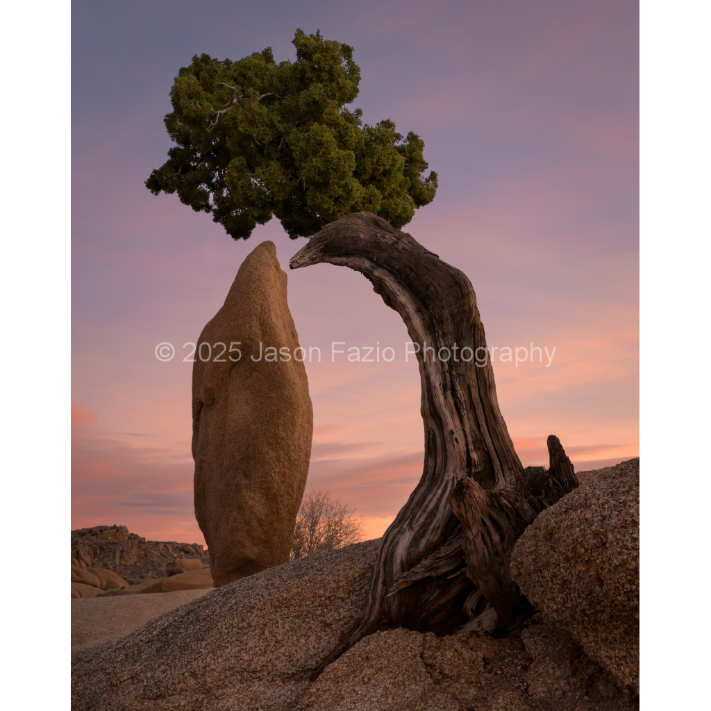 image_original_f63d229ffefd4f59866965af16271839.png