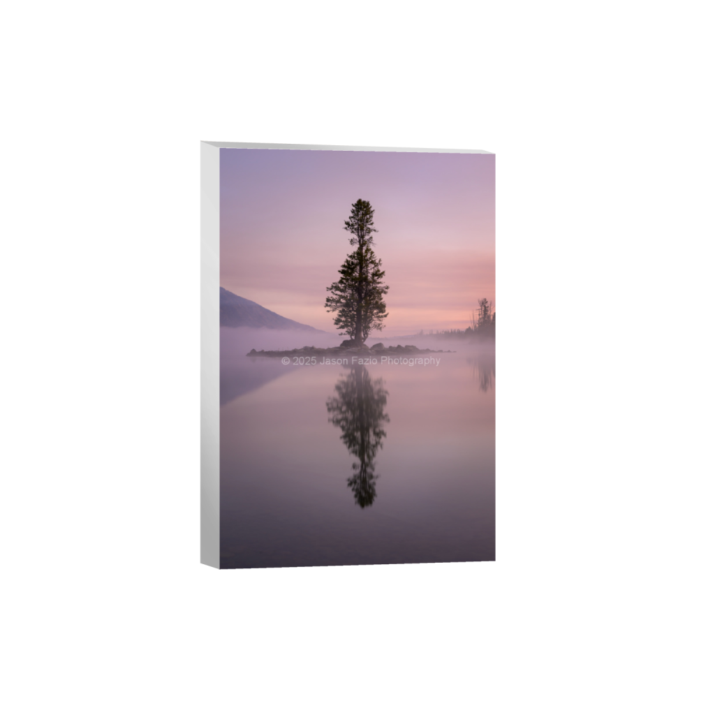 ptq_7_3_235_0_6594_9892_0_false_ffffff_0_0_f63d229ffefd4f59866965af16271839.png
