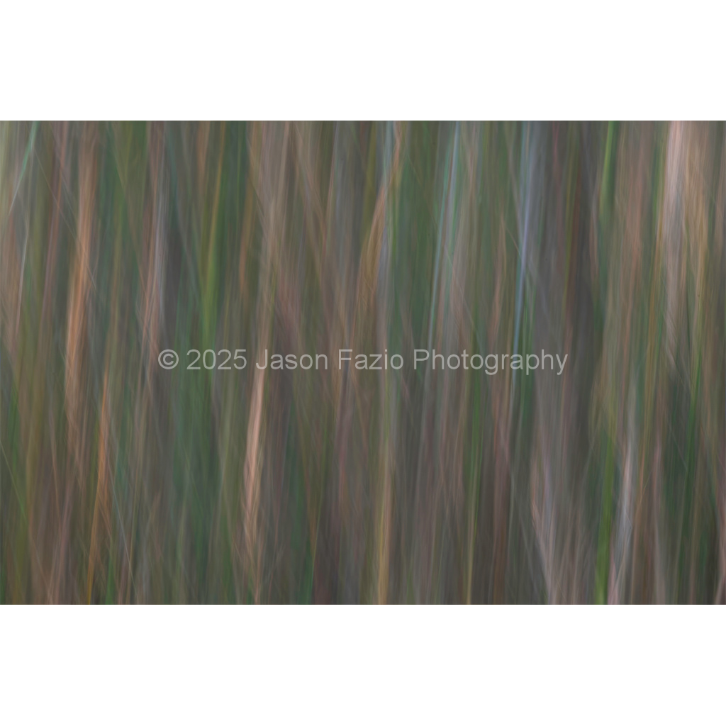 image_original_f63d229ffefd4f59866965af16271839.png