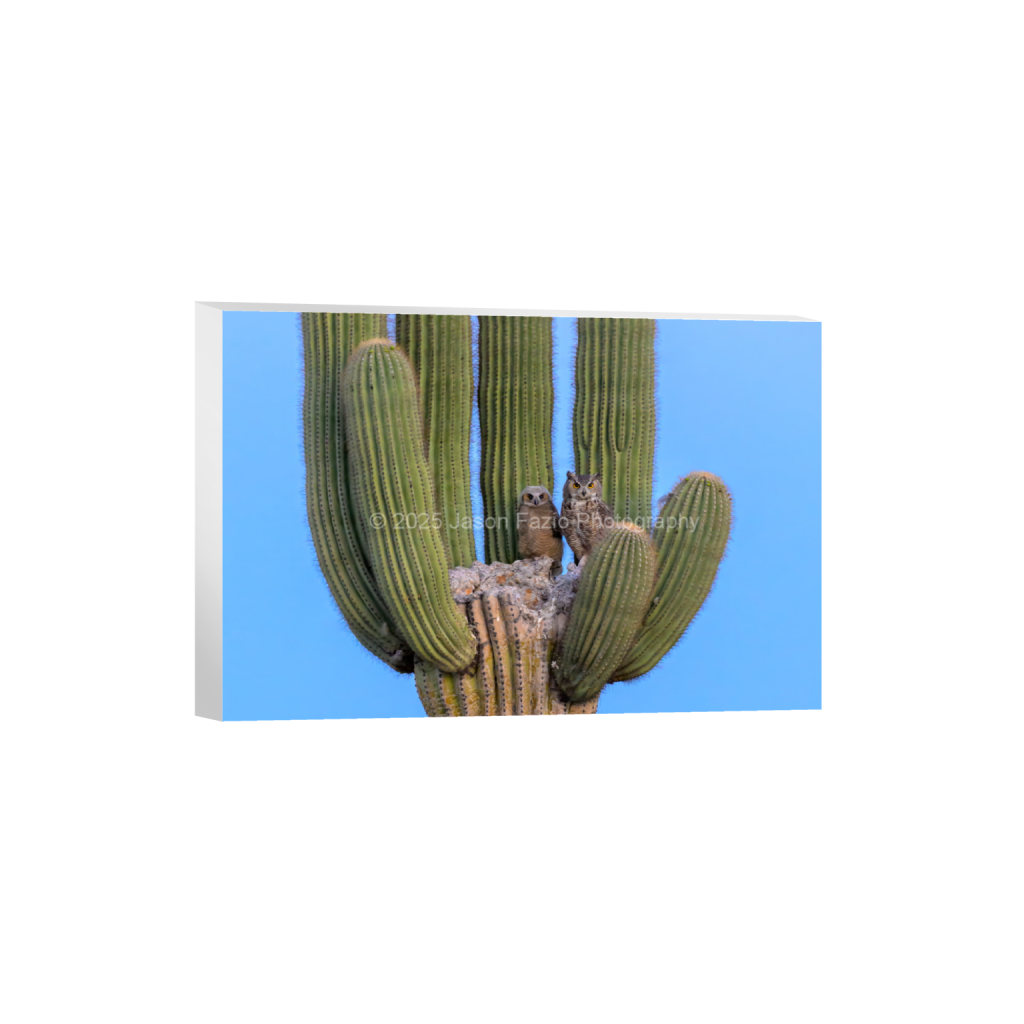 ptq_7_3_0_0_3889_2593_0_false_ffffff_0_0_f63d229ffefd4f59866965af16271839.png