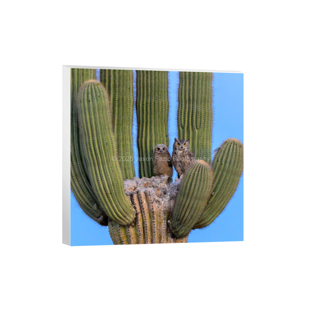 ptq_7_0_648_0_2593_2593_0_false_ffffff_0_0_f63d229ffefd4f59866965af16271839.png