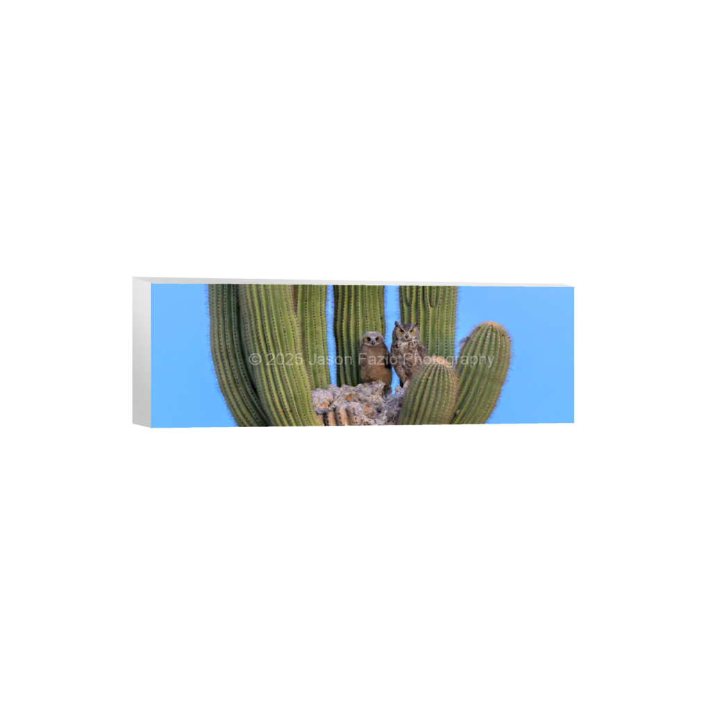 ptq_7_2_0_674_3890_1296_0_false_ffffff_0_0_f63d229ffefd4f59866965af16271839.png