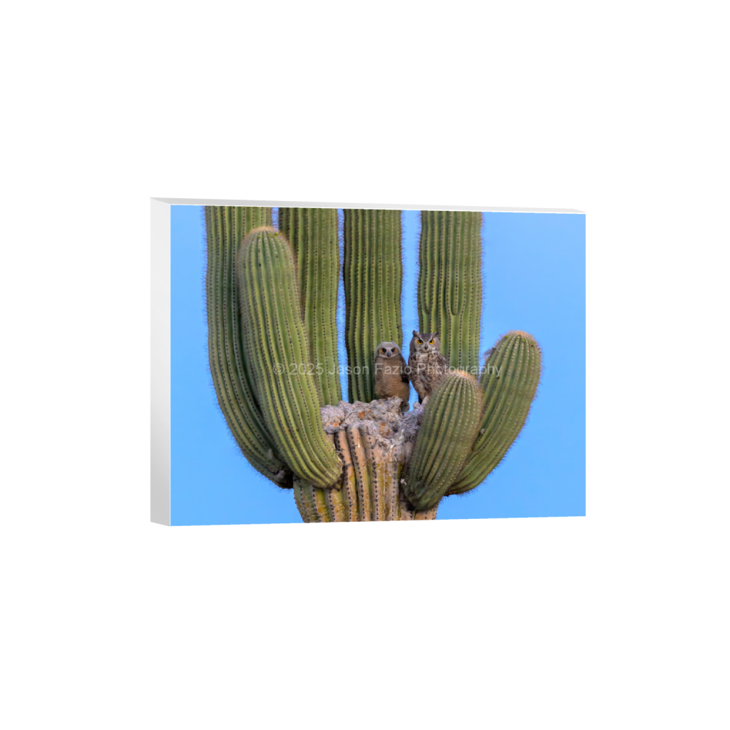 ptq_7_5_216_0_3457_2593_0_false_ffffff_0_0_f63d229ffefd4f59866965af16271839.png