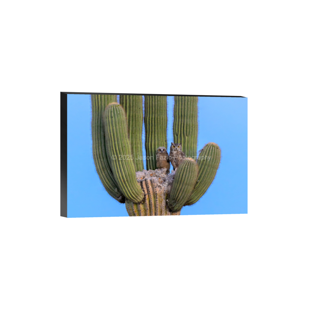 ptq_32_3_0_0_3889_2593_0_false_ffffff_0_0_f63d229ffefd4f59866965af16271839.png