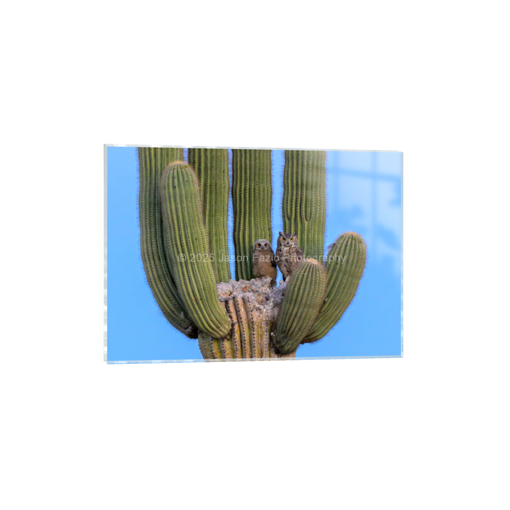 ptq_17_7_129_0_3630_2593_0_false_ffffff_0_0_f63d229ffefd4f59866965af16271839.png