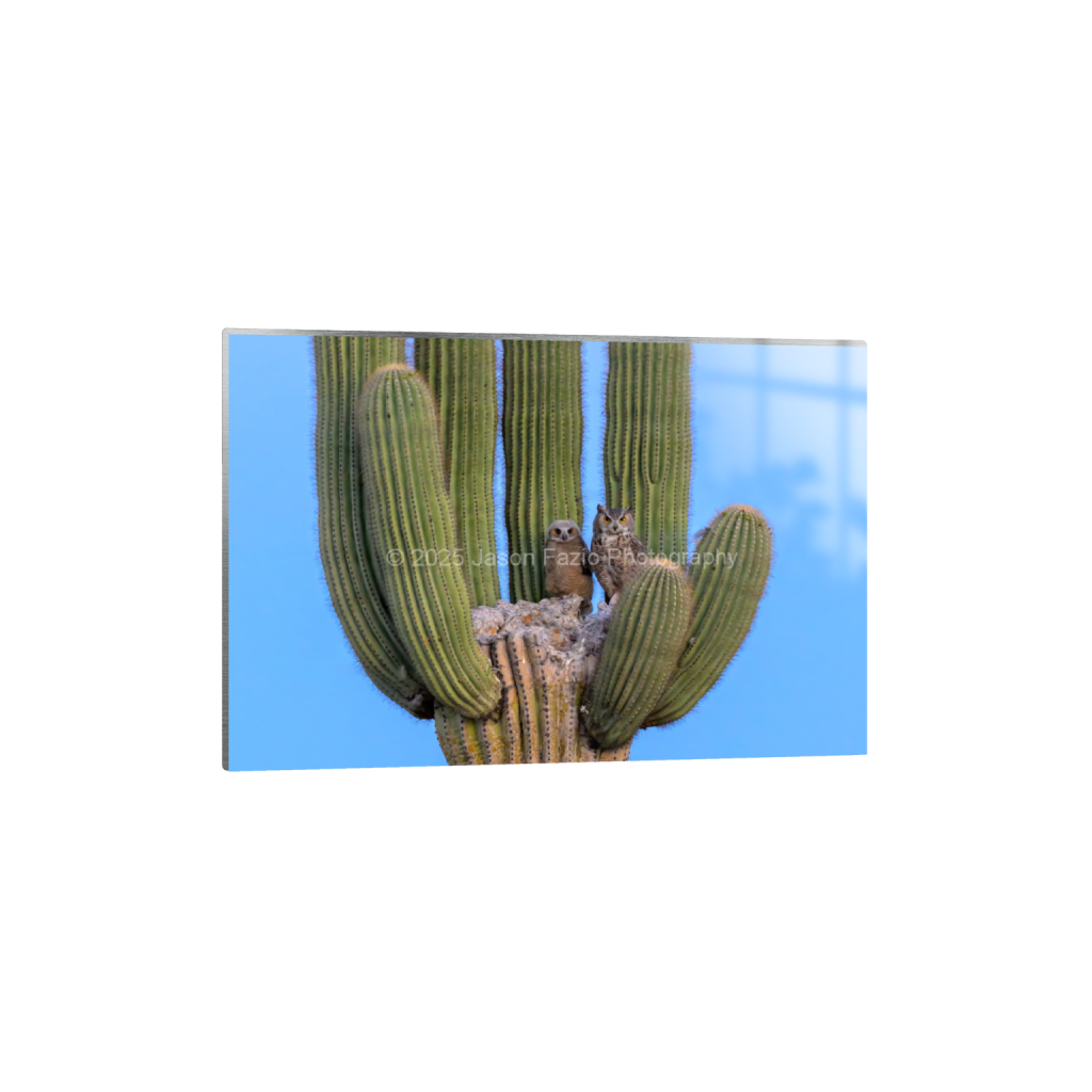 ptq_13_3_0_0_3889_2593_0_false_ffffff_0_0_f63d229ffefd4f59866965af16271839.png