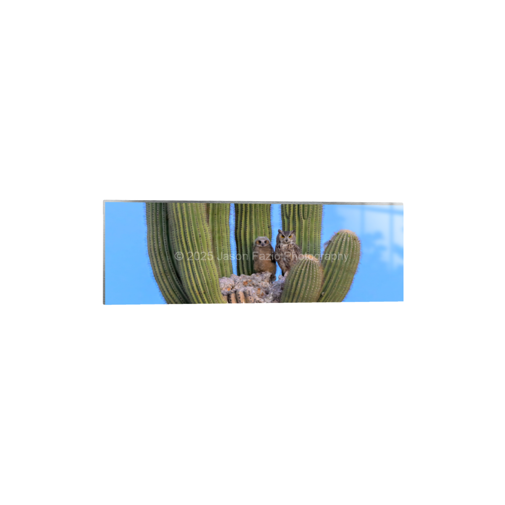 ptq_13_2_0_674_3890_1296_0_false_ffffff_0_0_f63d229ffefd4f59866965af16271839.png