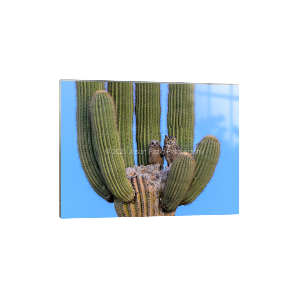 ptq_13_5_216_0_3457_2593_0_false_ffffff_0_0_f63d229ffefd4f59866965af16271839.png