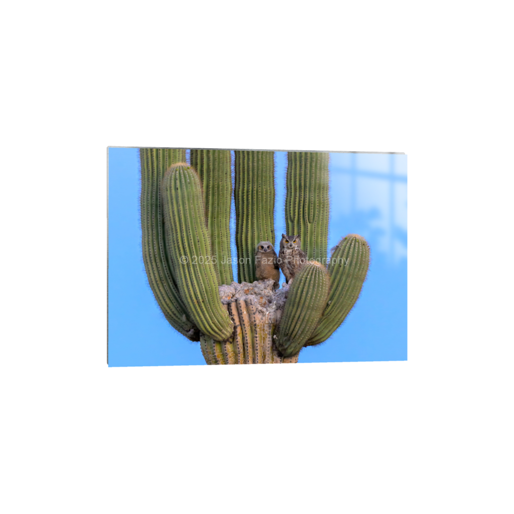 ptq_13_7_129_0_3630_2593_0_false_ffffff_0_0_f63d229ffefd4f59866965af16271839.png