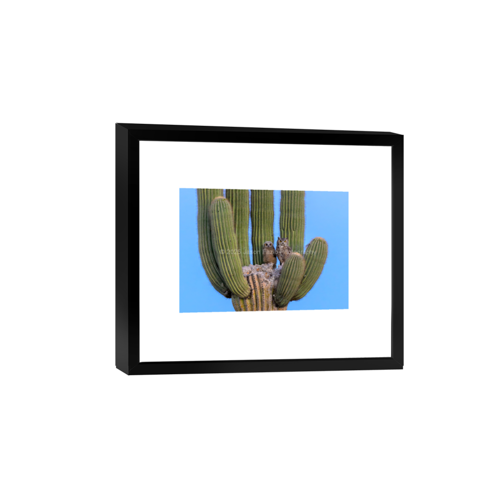 ptq_45_7_129_0_3630_2593_0_false_ffffff_0_0_f63d229ffefd4f59866965af16271839.png