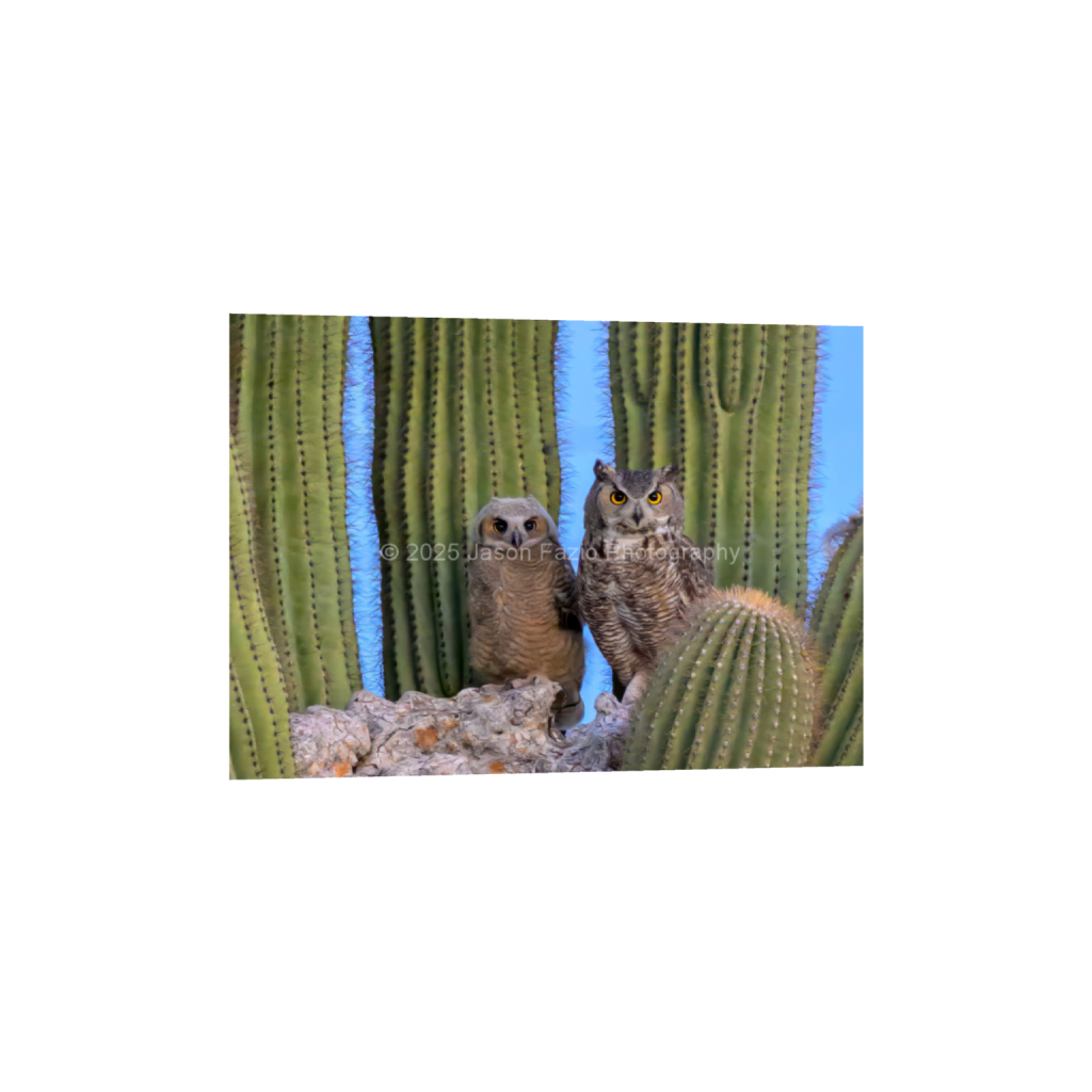 ptq_34_7_233_0_6484_4632_0_false_ffffff_0_0_f63d229ffefd4f59866965af16271839.png