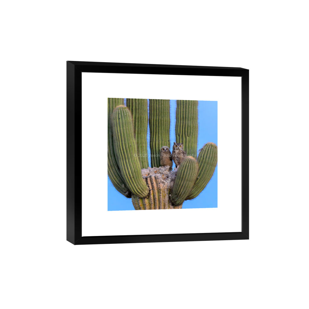 ptq_45_0_648_0_2593_2593_0_false_ffffff_0_0_f63d229ffefd4f59866965af16271839.png