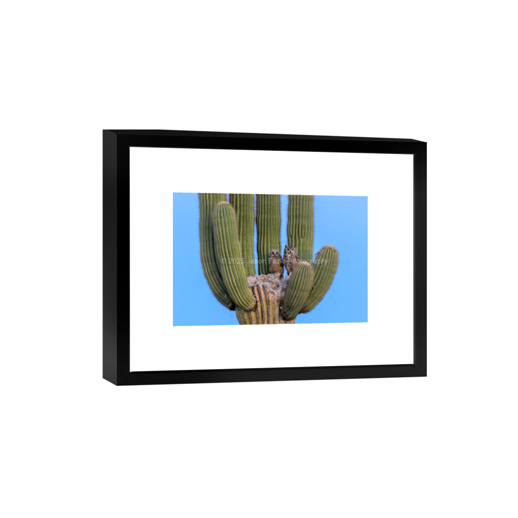 ptq_45_3_0_0_3889_2593_0_false_ffffff_0_0_f63d229ffefd4f59866965af16271839.png