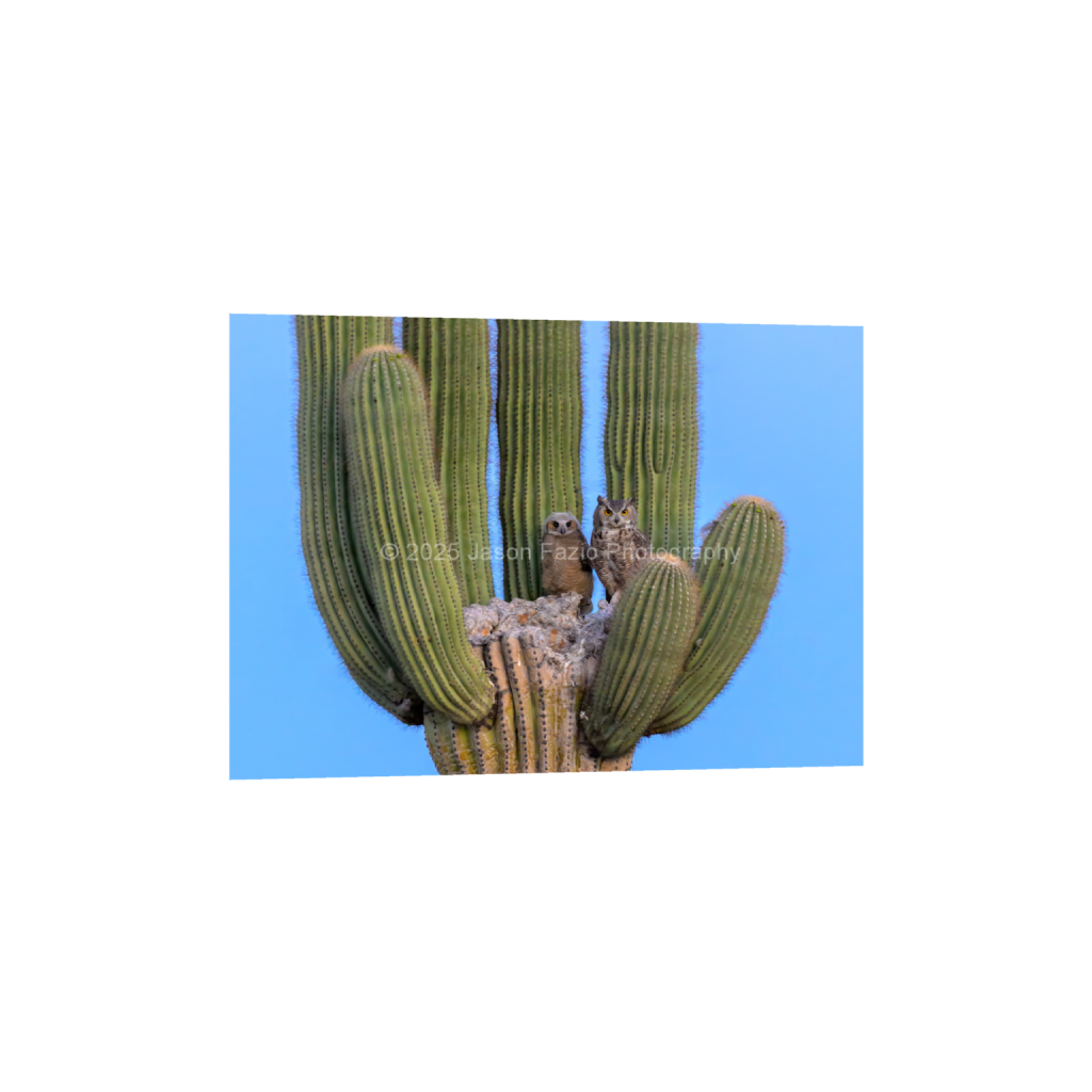 ptq_34_7_129_0_3630_2593_0_false_ffffff_0_0_f63d229ffefd4f59866965af16271839.png