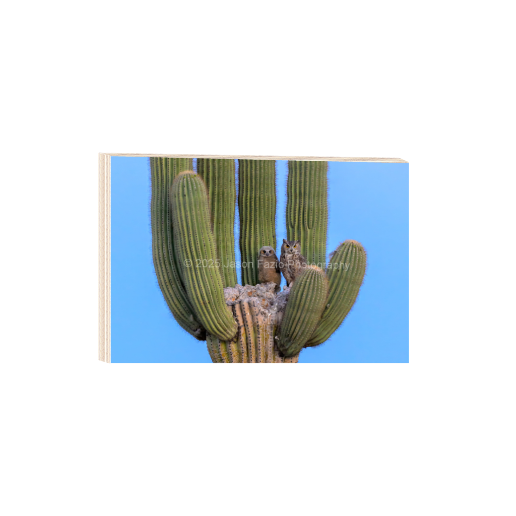 ptq_29_3_0_0_3889_2593_0_false_ffffff_0_0_f63d229ffefd4f59866965af16271839.png