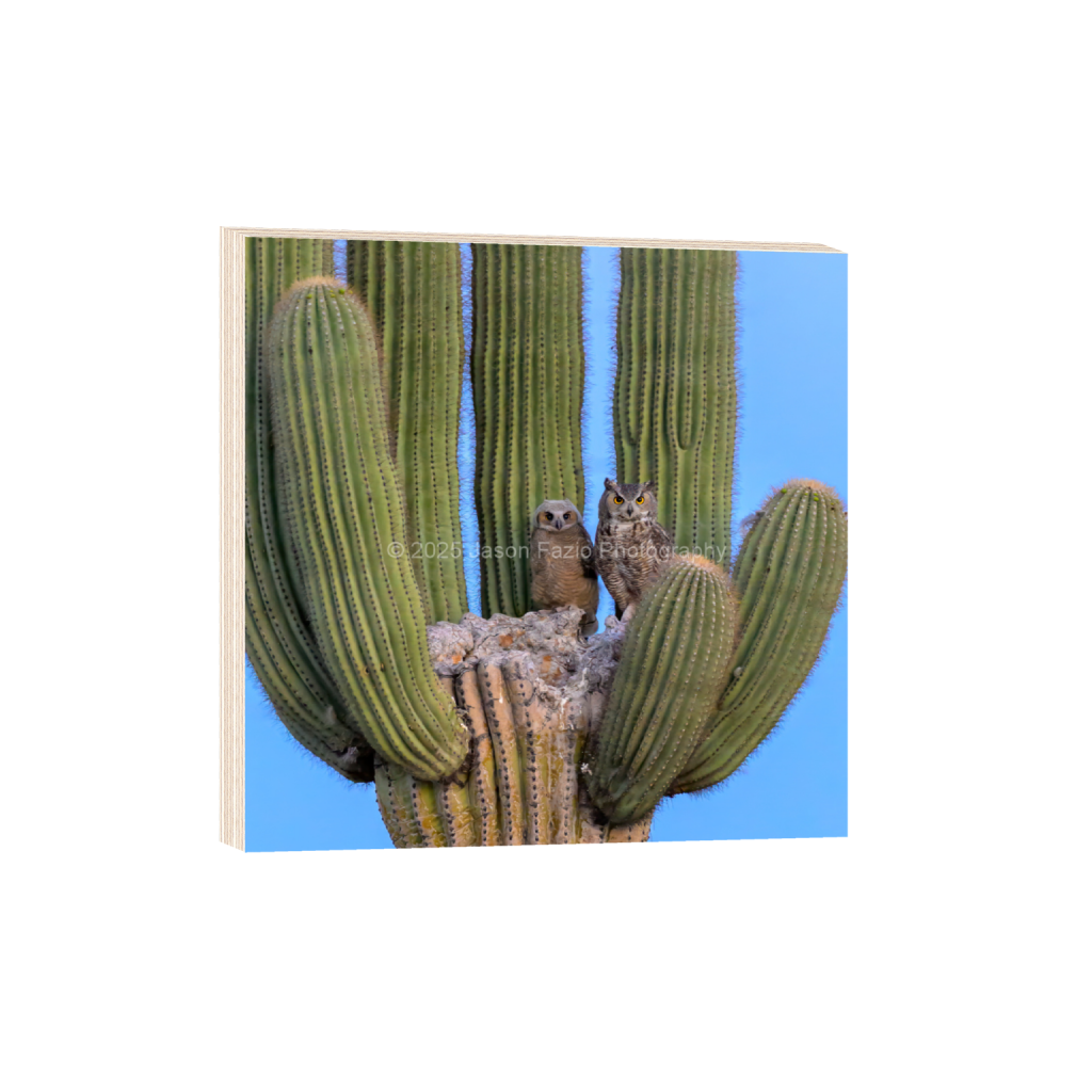 ptq_29_0_648_0_2593_2593_0_false_ffffff_0_0_f63d229ffefd4f59866965af16271839.png