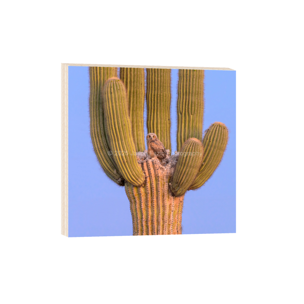 ptq_29_0_1774_0_6825_6825_0_false_ffffff_0_0_f63d229ffefd4f59866965af16271839.png