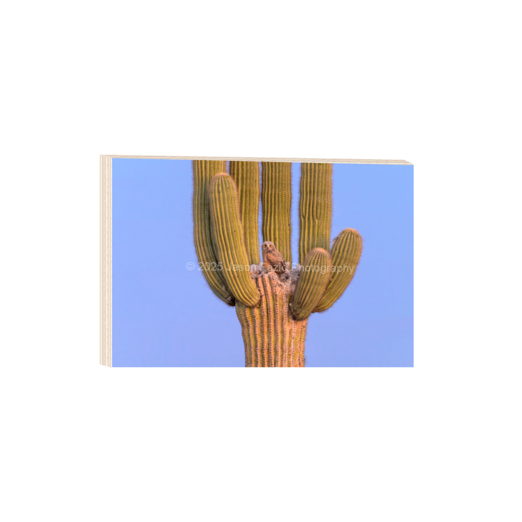 ptq_29_3_0_0_10237_6824_0_false_ffffff_0_0_f63d229ffefd4f59866965af16271839.png