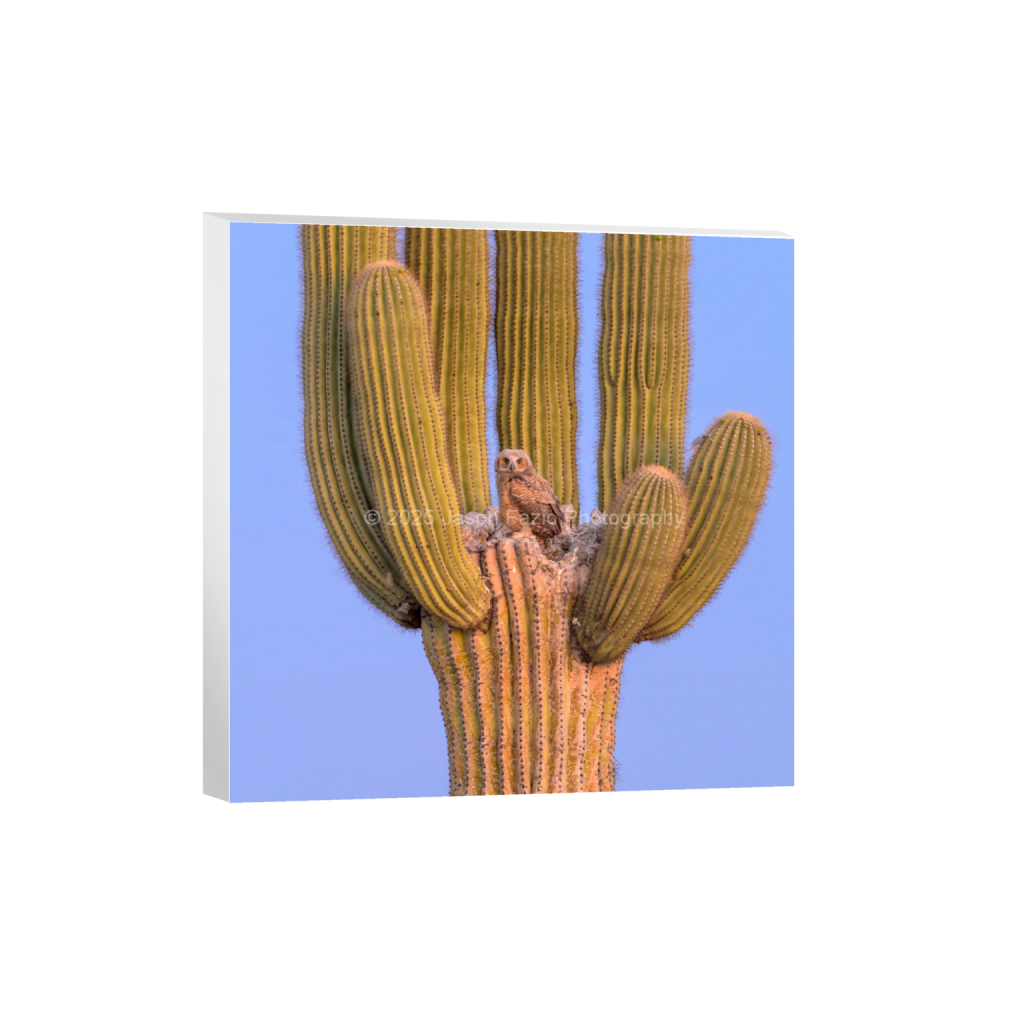 ptq_7_0_1774_0_6825_6825_0_false_ffffff_0_0_f63d229ffefd4f59866965af16271839.png