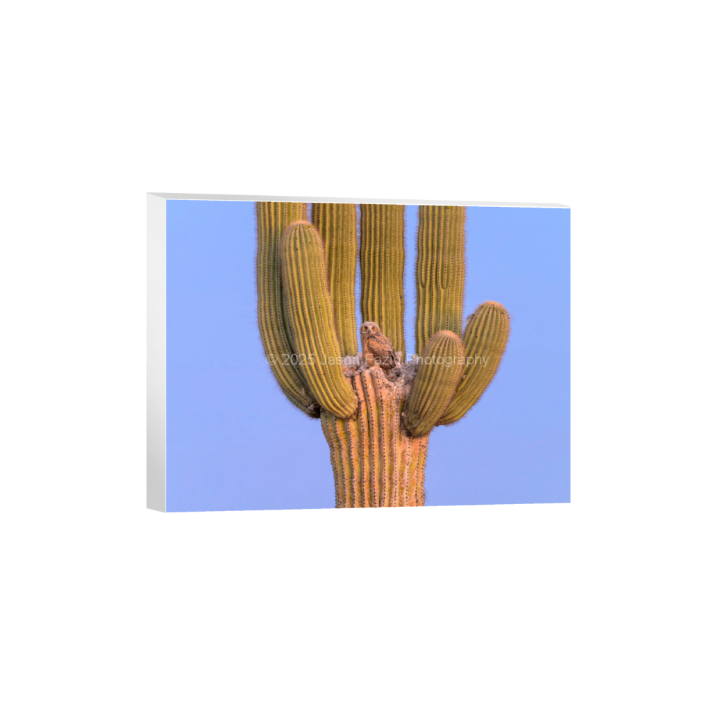 ptq_7_5_682_0_9100_6825_0_false_ffffff_0_0_f63d229ffefd4f59866965af16271839.png