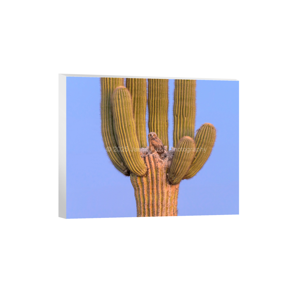 ptq_7_6_989_0_8531_6825_0_false_ffffff_0_0_f63d229ffefd4f59866965af16271839.png