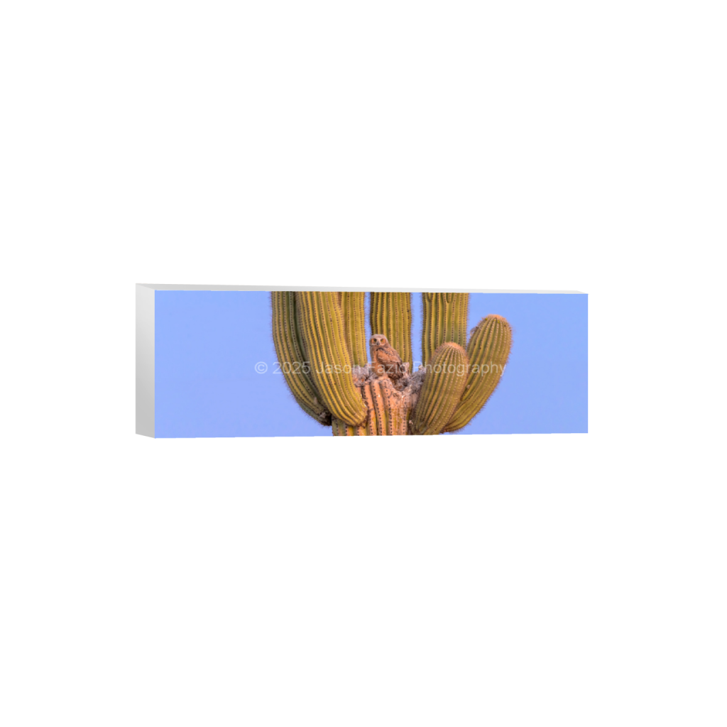 ptq_7_2_0_1637_10237_3412_0_false_ffffff_0_0_f63d229ffefd4f59866965af16271839.png
