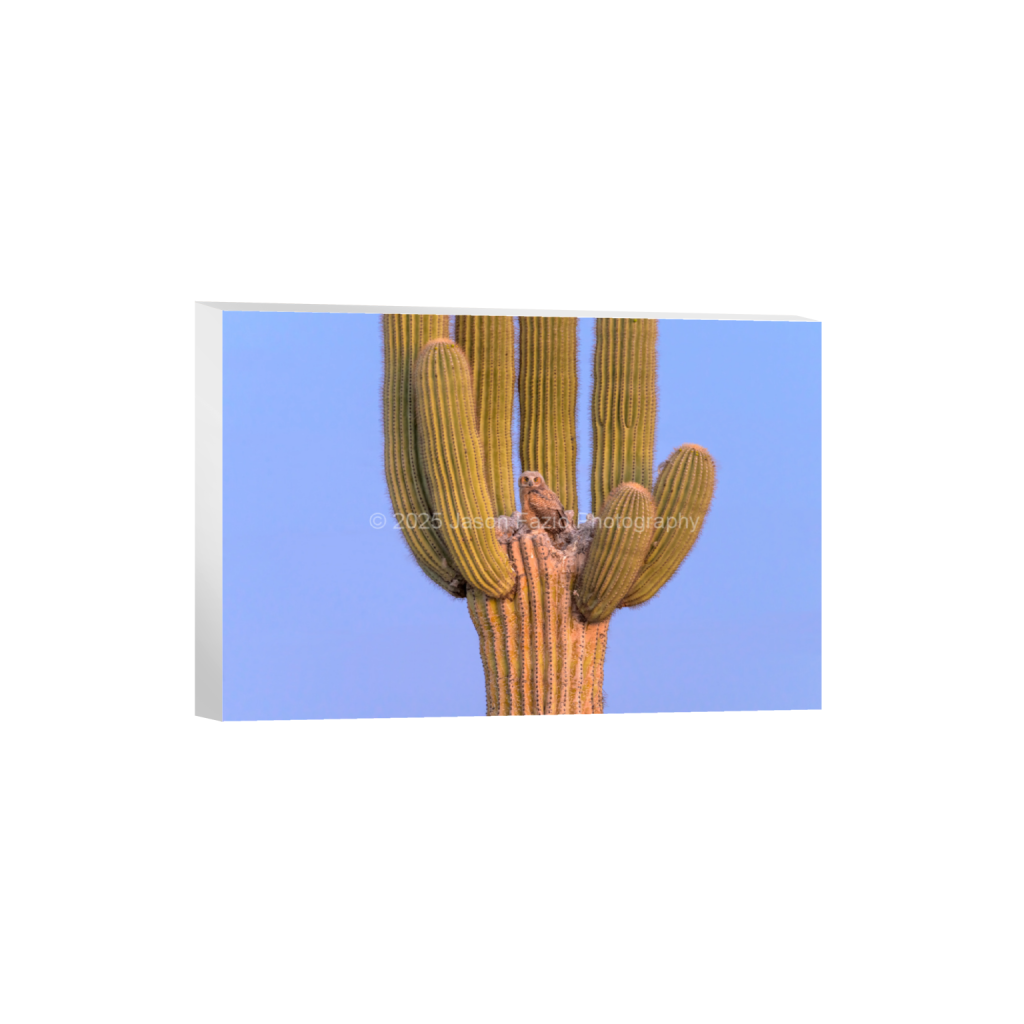 ptq_7_3_0_0_10237_6824_0_false_ffffff_0_0_f63d229ffefd4f59866965af16271839.png