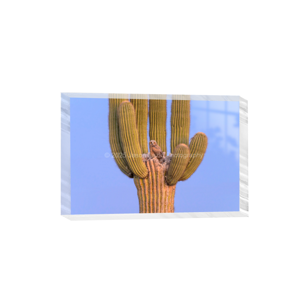 ptq_300_3_0_0_10237_6824_0_false_ffffff_0_0_f63d229ffefd4f59866965af16271839.png