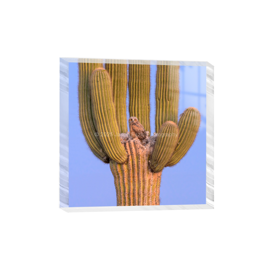 ptq_300_0_1774_0_6825_6825_0_false_ffffff_0_0_f63d229ffefd4f59866965af16271839.png