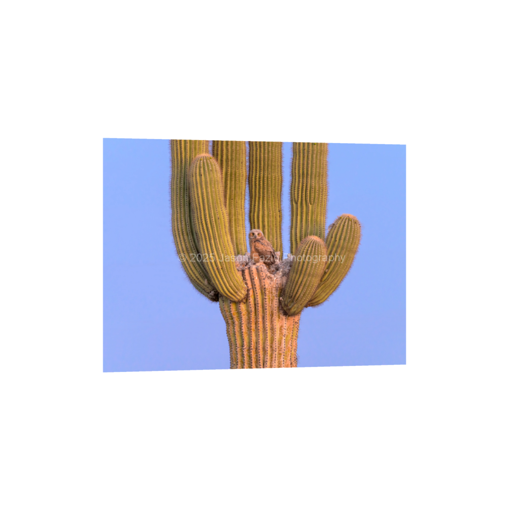 ptq_34_5_682_0_9100_6825_0_false_ffffff_0_0_f63d229ffefd4f59866965af16271839.png