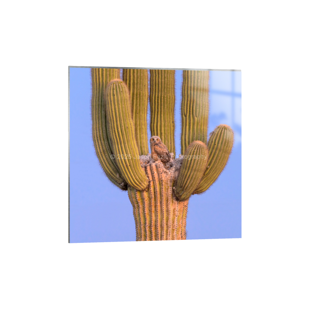 ptq_13_0_1774_0_6825_6825_0_false_ffffff_0_0_f63d229ffefd4f59866965af16271839.png