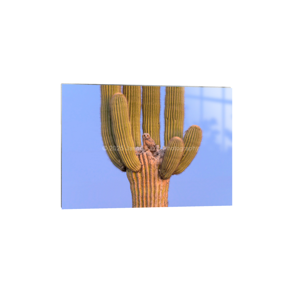 ptq_13_7_546_0_9555_6825_0_false_ffffff_0_0_f63d229ffefd4f59866965af16271839.png